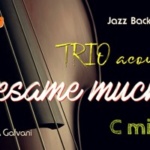 BESAME MUCHO – Cm – Tracks Bossanova